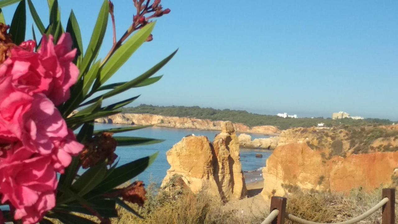 Albur Village B - Camomile Alvor Exterior photo